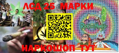 гидропоника Берёзовский