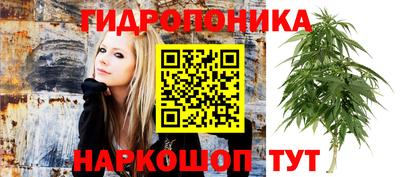 скорость Камышлов