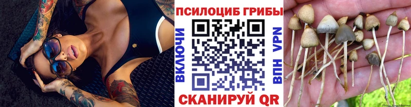 Псилоцибиновые грибы мухоморы  цена наркотик  Знаменск 