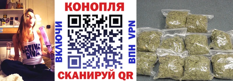 МАРИХУАНА план  наркошоп  Знаменск 